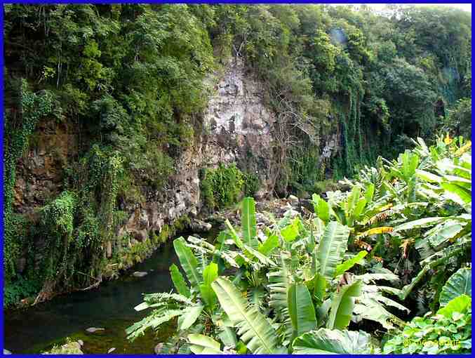 Riviere des Anguilles