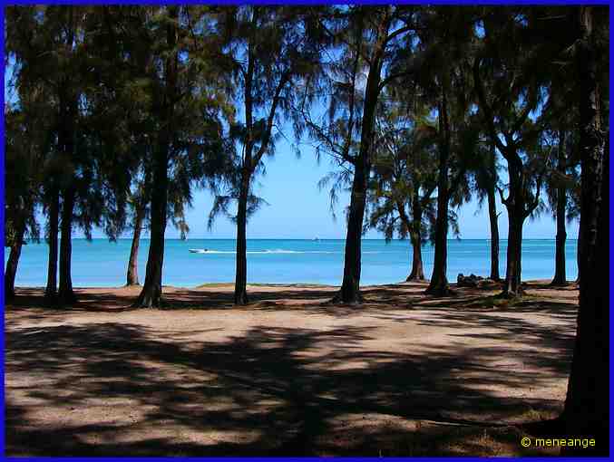 Pte aux piments